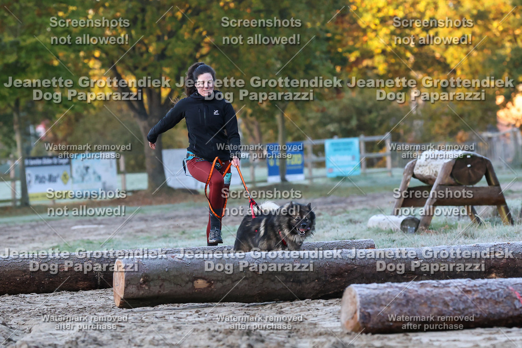 Dog Paparazzi - Strongdog 10-25-186 | Dog Paparazzi Jeanette Grottendiek Fotografie & Videografie - Realisiert mit Pictrs.com