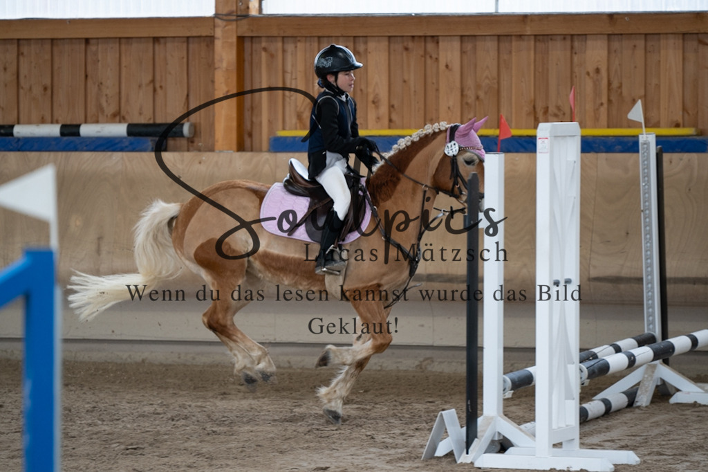 A7V00078 | Pferdefotograf