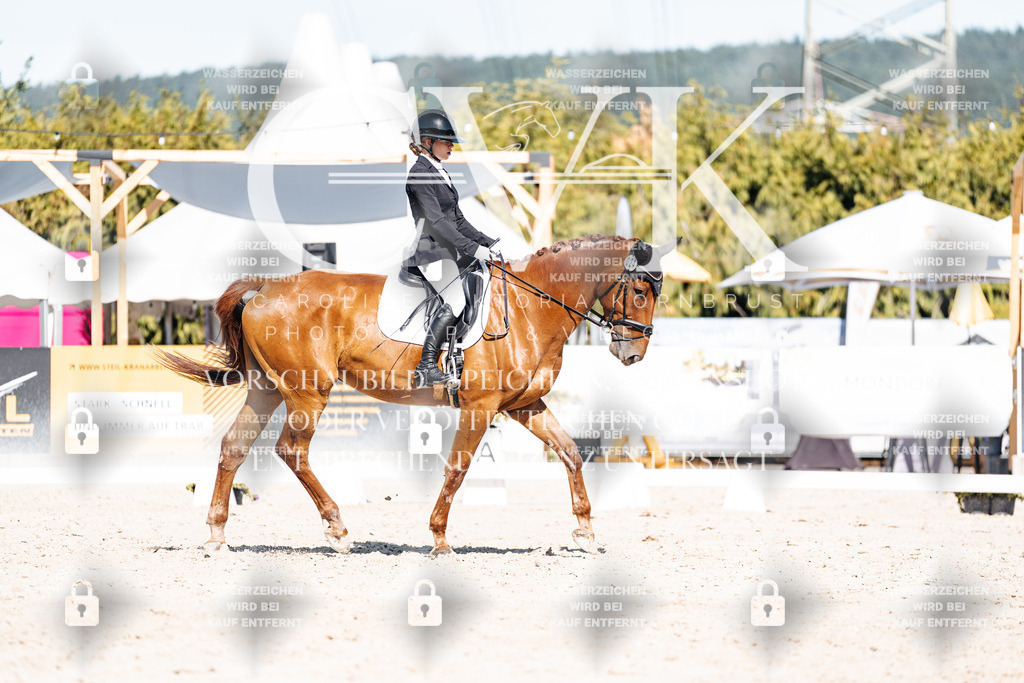 CK908733 | Turnierfotografie Pferdefotografie Trier Rheinland-Pfalz Pferdesport Reitsport Tierfotografie Sportfotografie Pferdevideo Pferdevideografie Equestrianvideography equestrianphotography  - Realisiert mit Pictrs.com