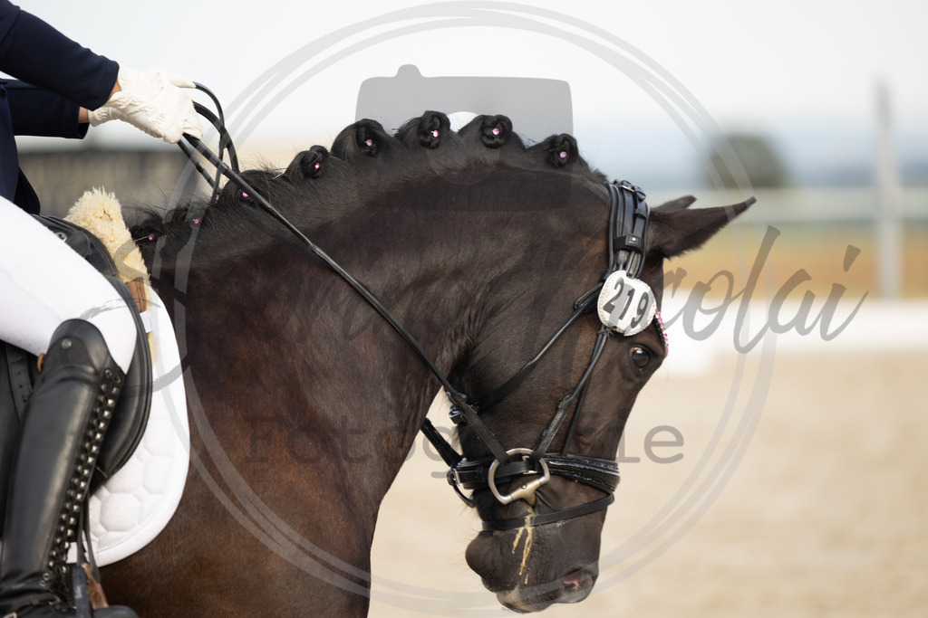 994A0999 | sabrinanicolaifotografie - Realisiert mit Pictrs.com