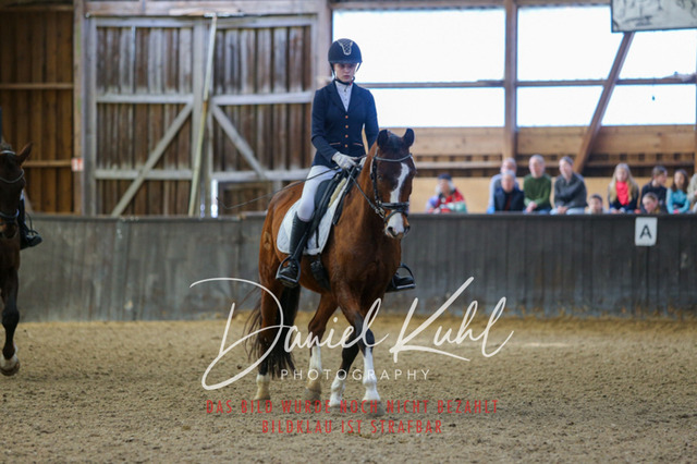 IMG_0926 | Turniersportfotografie; Pferdefotografie; Dressurfotografie