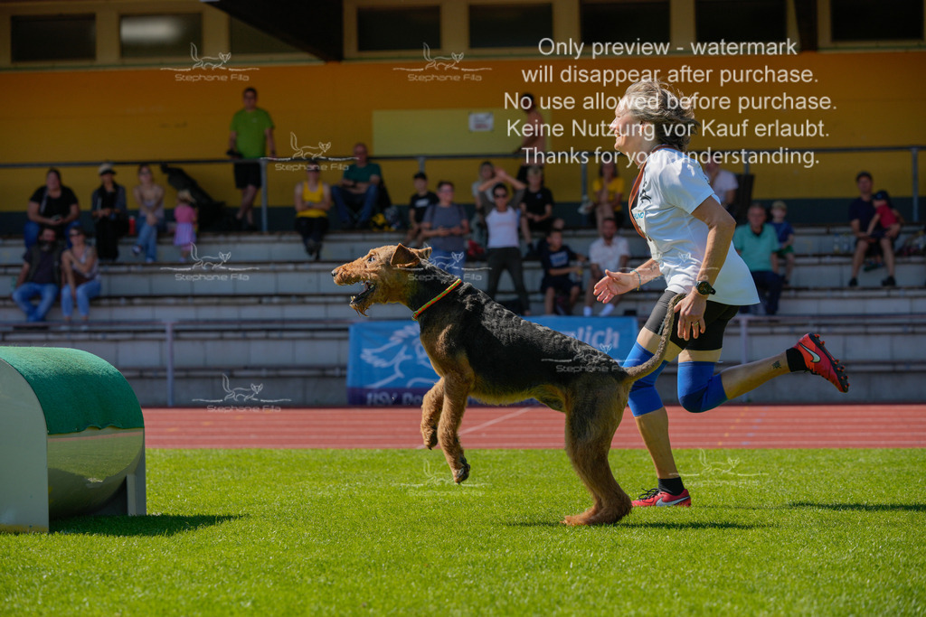 Sonntag_VK Hindernis (428 von 671) | stephaniefillaphotographie - Realisiert mit Pictrs.com