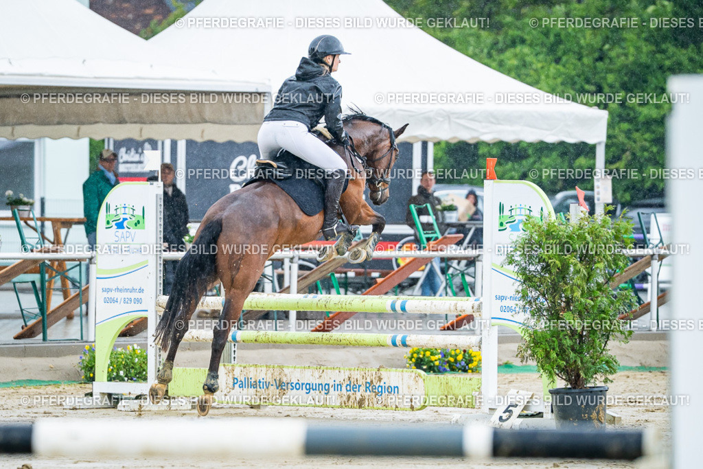 DSC03046 | Pferdegrafie