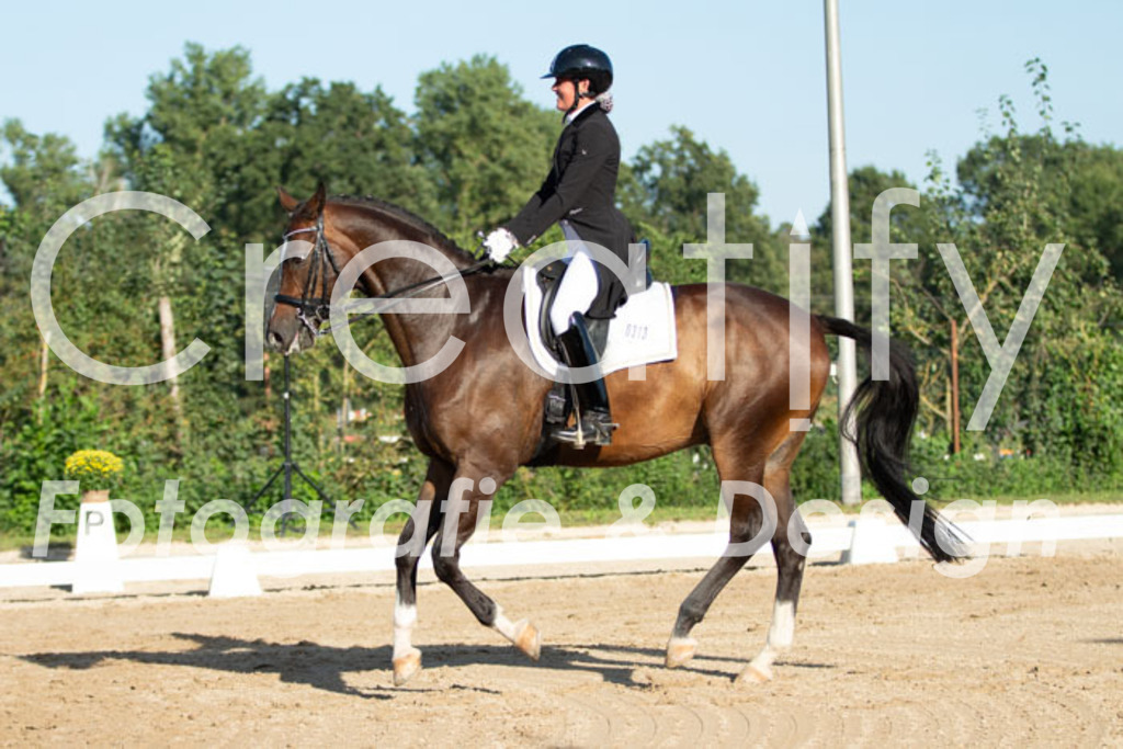 IMG_5792 | Creatify Fotografie