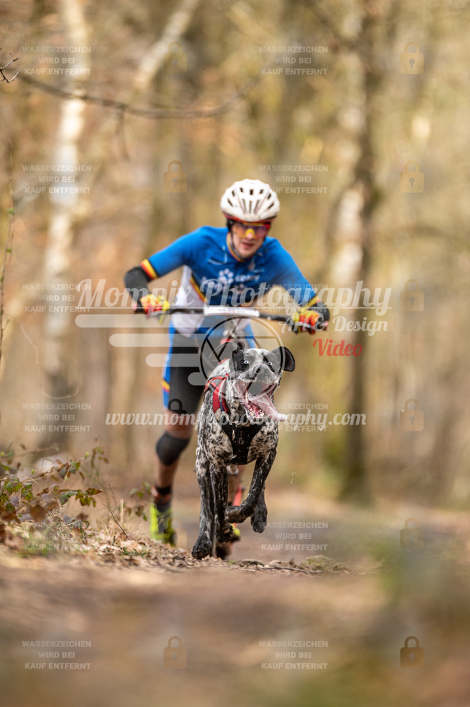 SPA_2023_SAM_Scooter-4 | PayLife