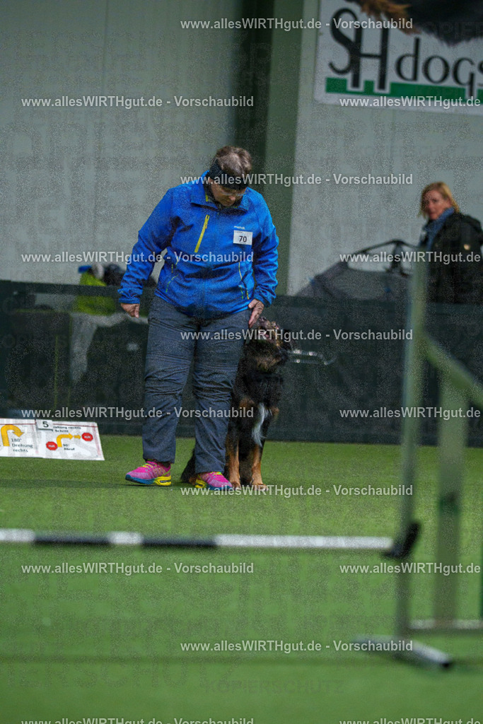 7R503977 | Professionelle Tierfotografie in Mönchengladbach von Daniel Wirth (allesWIRTHgut). Liebevolle & natürliche Bilder von Hunden & Katzen für unvergessliche Erinnerungen.