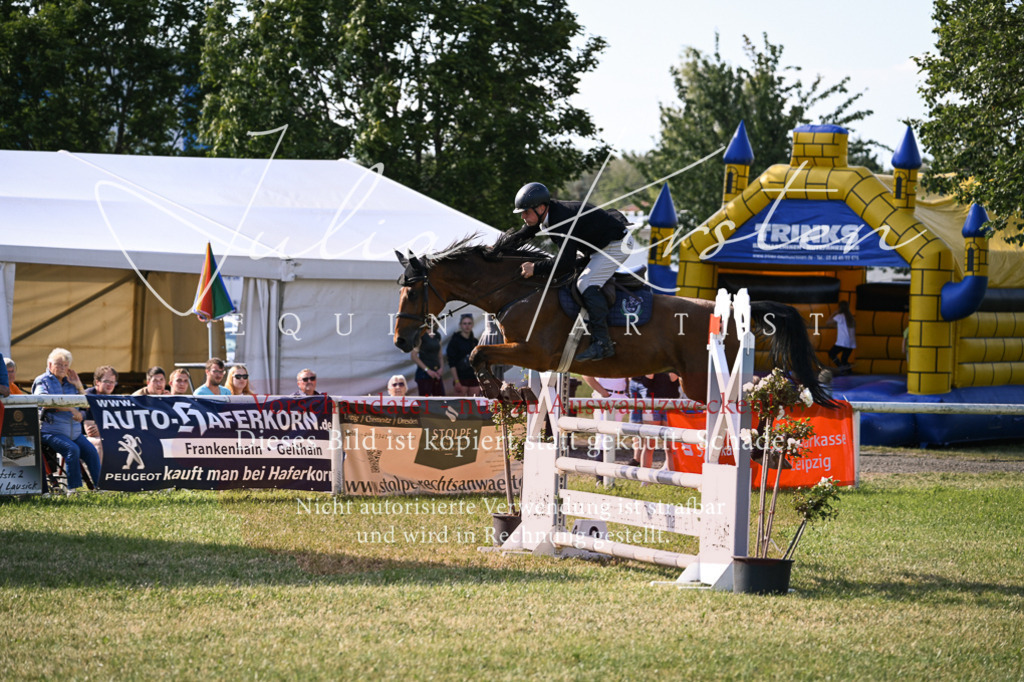 DSC_1495 | Pferde- und Turnierfotografie in Westsachsen. Pferdeportraits, Auftragszeichnungen und intuitive Kunst.