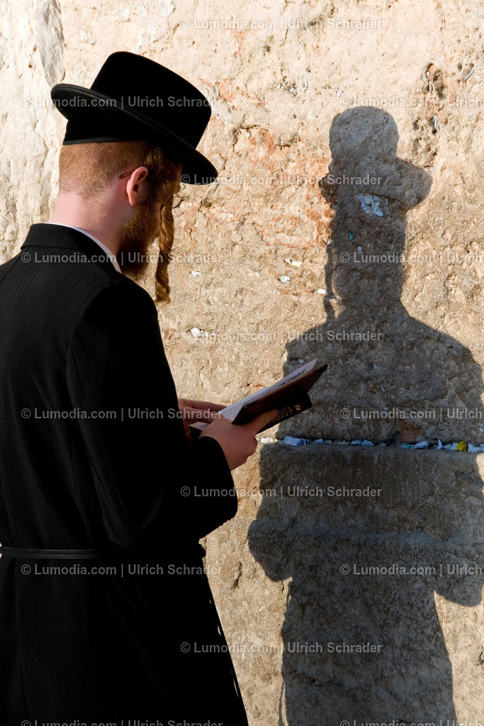 202510-152 | Stockfoto und Bilderpool mit Bildmaterial aus Deutschland, dem Harz, Halberstadt, Quedlinburg, Wernigerode und weltweit. Qualitativ hochwertige und professionelle Fotos anschauen und kaufen. - Realisiert mit Pictrs.com