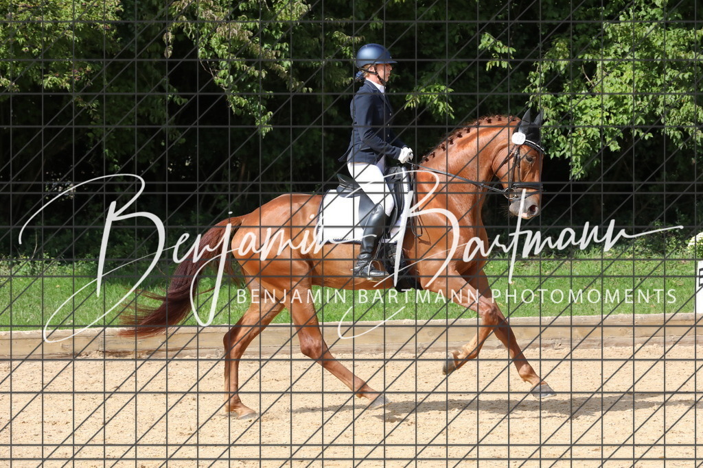 AZ2A2829 | Benjamin Bartmann Photomoments