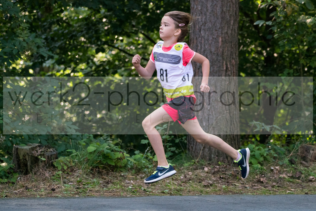 Rolr Schumann-Gedächtnislauf Frankenhain | 16. Rolf Schumann-Geächtnislauf und 6. TSV Ranglistenwettkampf Biathlon am 24. August in Frankenhain