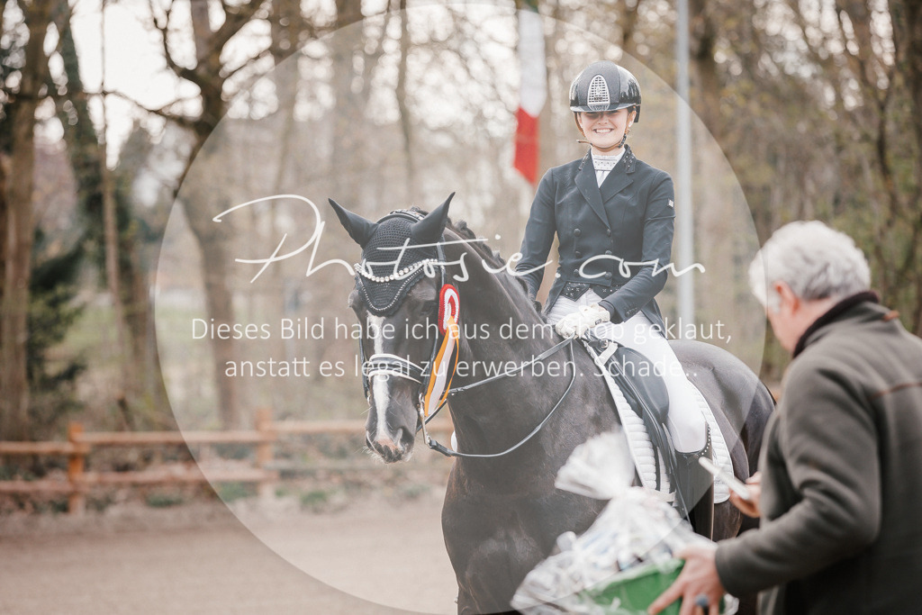 3I6A9181 | Stimmungsvolle Portraits und Reitsportfotografie im Ruhrgebiet und im Münsterland.

Pferdefotografie, Hundefotografie, Tierfotografie, Reportagen, Portraits von Tier und Mensch, Turnierfotografie in Bochum, Recklinghausen, Marl, Haltern am See, Dülmen.. - Realisiert mit Pictrs.com
