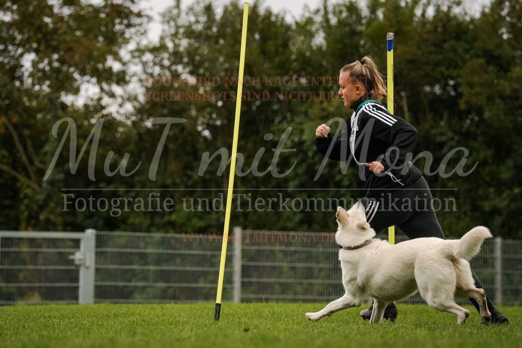 20251005_THS_Turnier-416 | MuT (Mensch und Tier) mit Mona - Fotografie und Tierkommunikation - Realisiert mit Pictrs.com