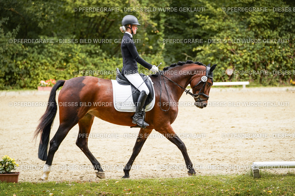 DSC00287 | Pferdegrafie