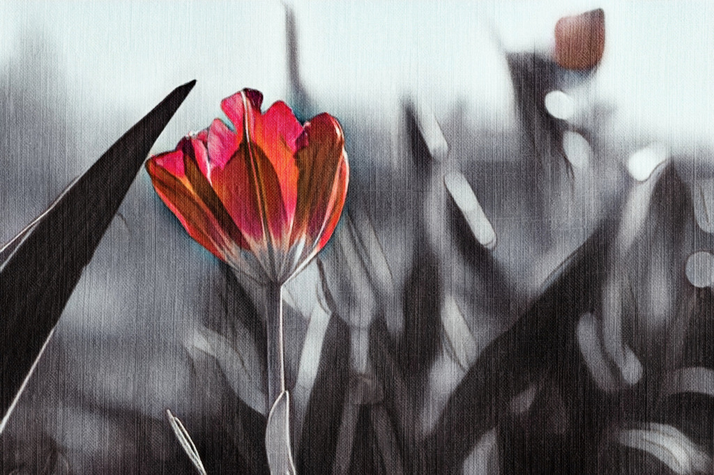 PSX_20240618_031845 | Kaufen sie online außergewöhnliche Fotografien auf Leinwand Acrylglas Fotoprint Aludibond von holgerweigeltfotografie - Realisiert mit Pictrs.com