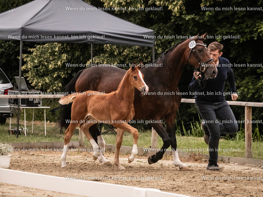 A10I5493 | photographylinaismer - Realisiert mit Pictrs.com