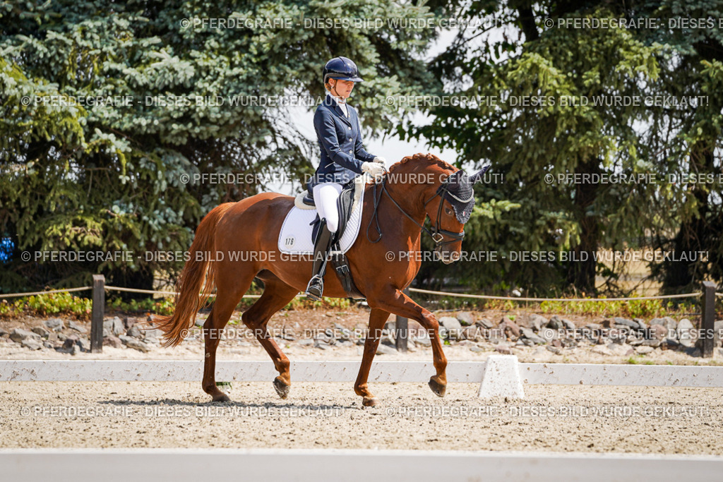 DSC00964 | Pferdegrafie