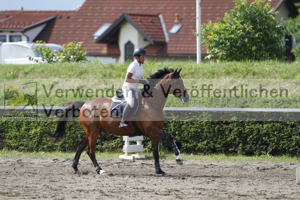 _MG_0335 | equestrian-live-com