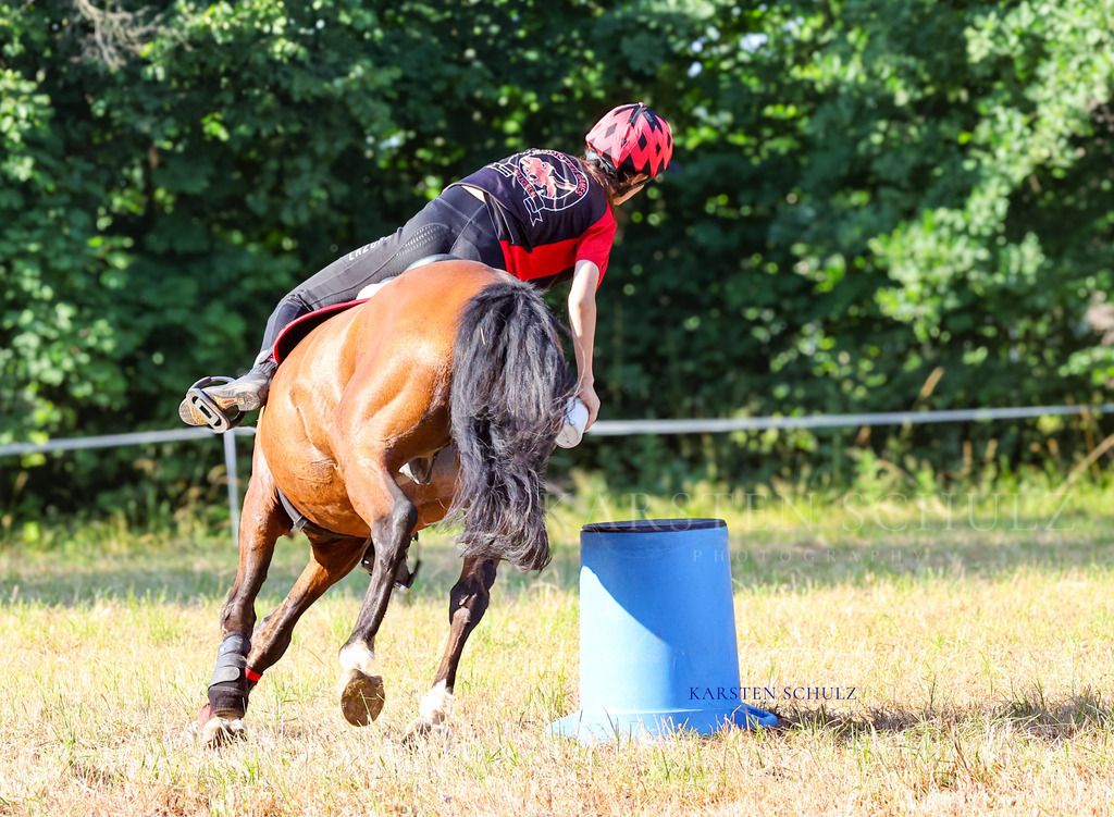1B3A8705 | Reitsport Reiten