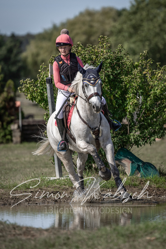20250907-_3LI9750 | Tierfotografie Pferde, Hunde, Katzen, Haustiere.
Turnierfotografie Reitturniere, Reiten, Springreiten, Dressur in Hanau, dem Main-Kinzig-Kreis und dem Rhein-Main- Gebiet um Frankfurt