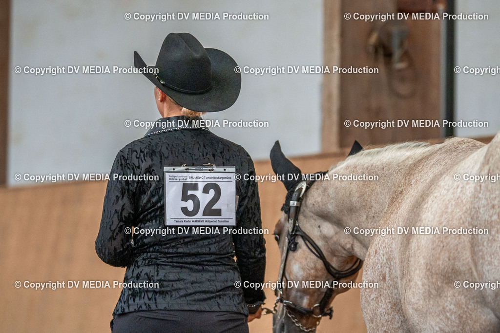 Neckargemünd Tag 1-078 | dv-media-shop - Realisiert mit Pictrs.com