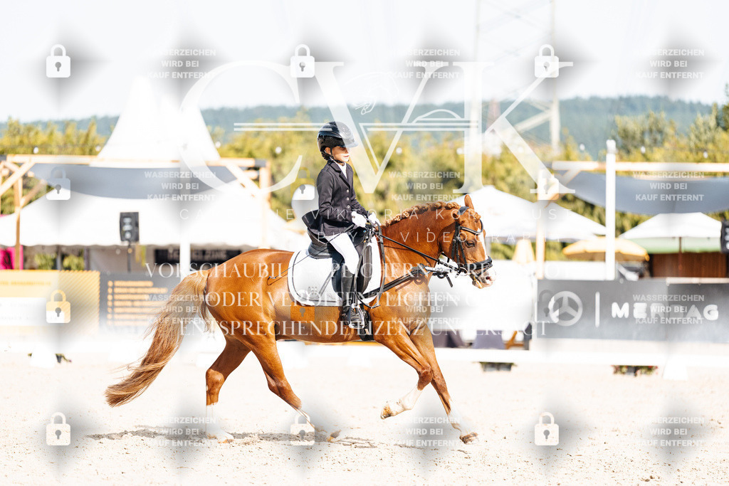 CK905269 | Turnierfotografie Pferdefotografie Trier Rheinland-Pfalz Pferdesport Reitsport Tierfotografie Sportfotografie Pferdevideo Pferdevideografie Equestrianvideography equestrianphotography  - Realisiert mit Pictrs.com