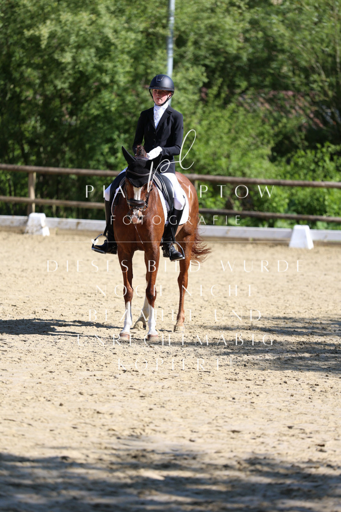 IMGT0163 | pl-fotografie