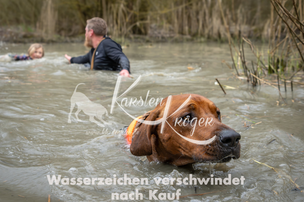 1402_ZZ95646 | kk-dogfotos