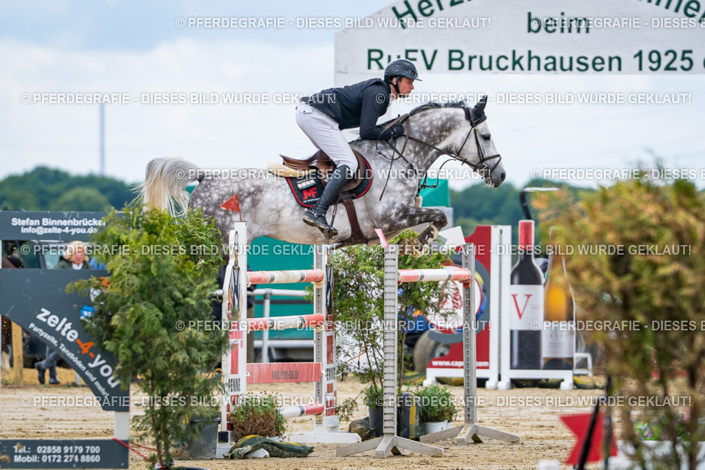 DSC05382 | Pferdegrafie