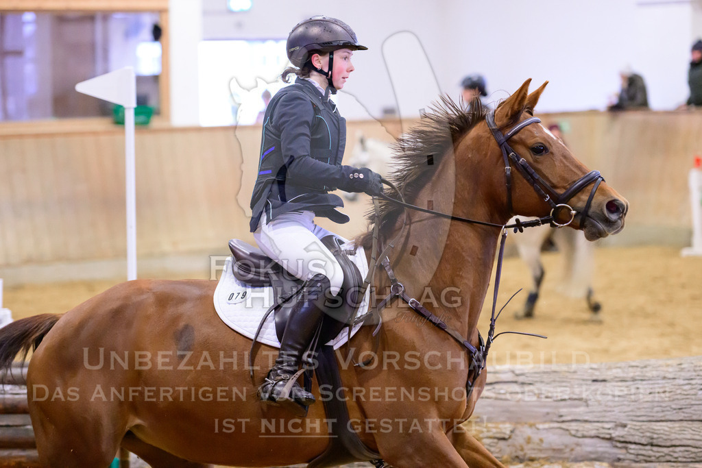 29032026-Schwaiganger-Prfg02-1-0142 | Fokus Hufschlag Fotografie - Realisiert mit Pictrs.com