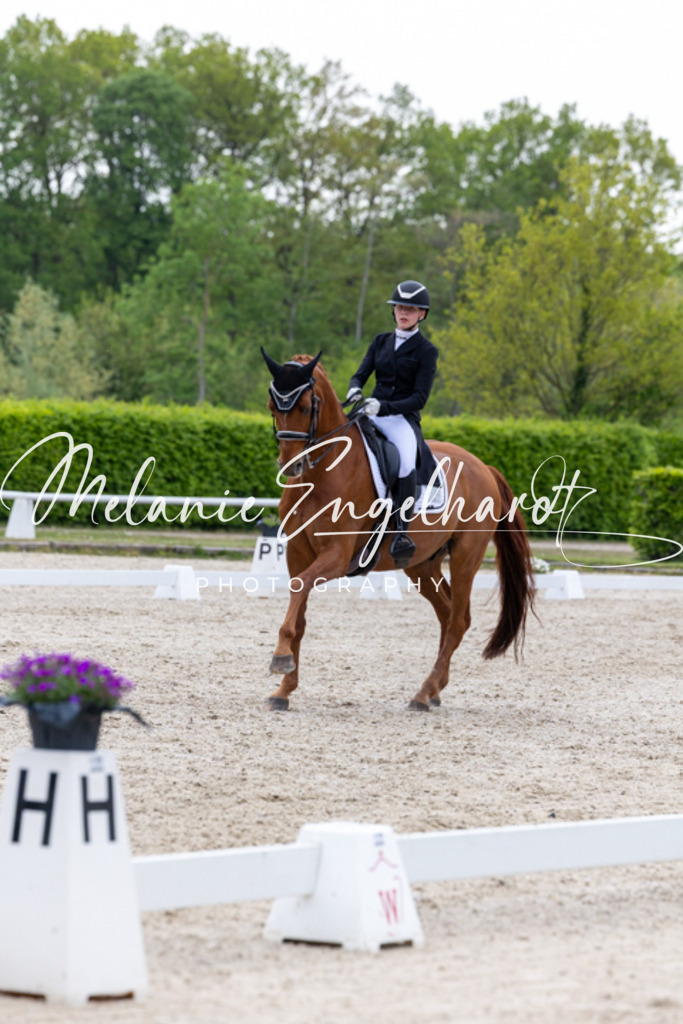 7I8A1819 | melanie-engelhardt-photography - Realisiert mit Pictrs.com