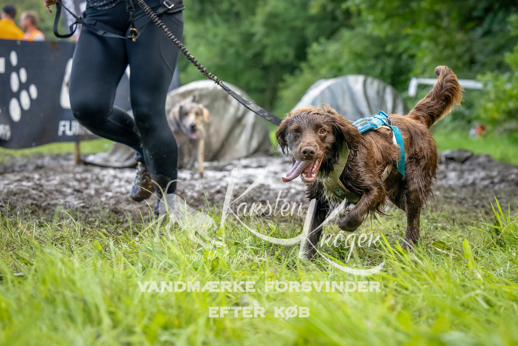 1144_ZZ94071-Bearbeitet | kk-dogfotos