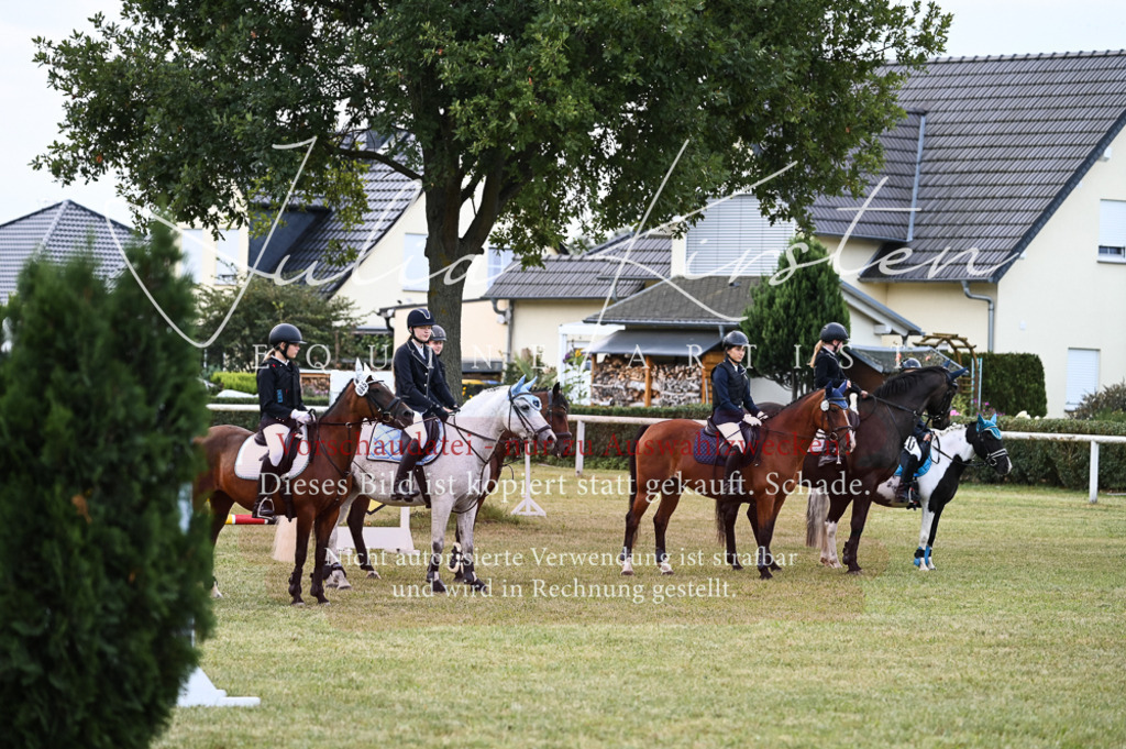 DSC_5756 | Pferde- und Turnierfotografie in Westsachsen. Pferdeportraits, Auftragszeichnungen und intuitive Kunst.