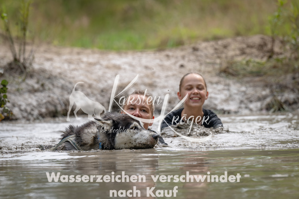 1458_ZZ94571 | kk-dogfotos
