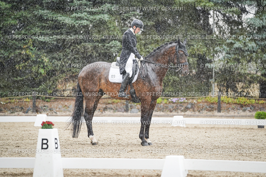 DSC08099 | Pferdegrafie