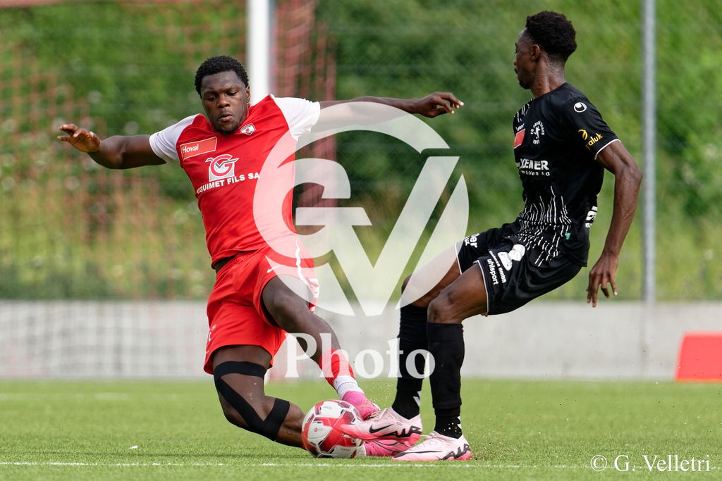 DSC_7634_M | Velletri Photo