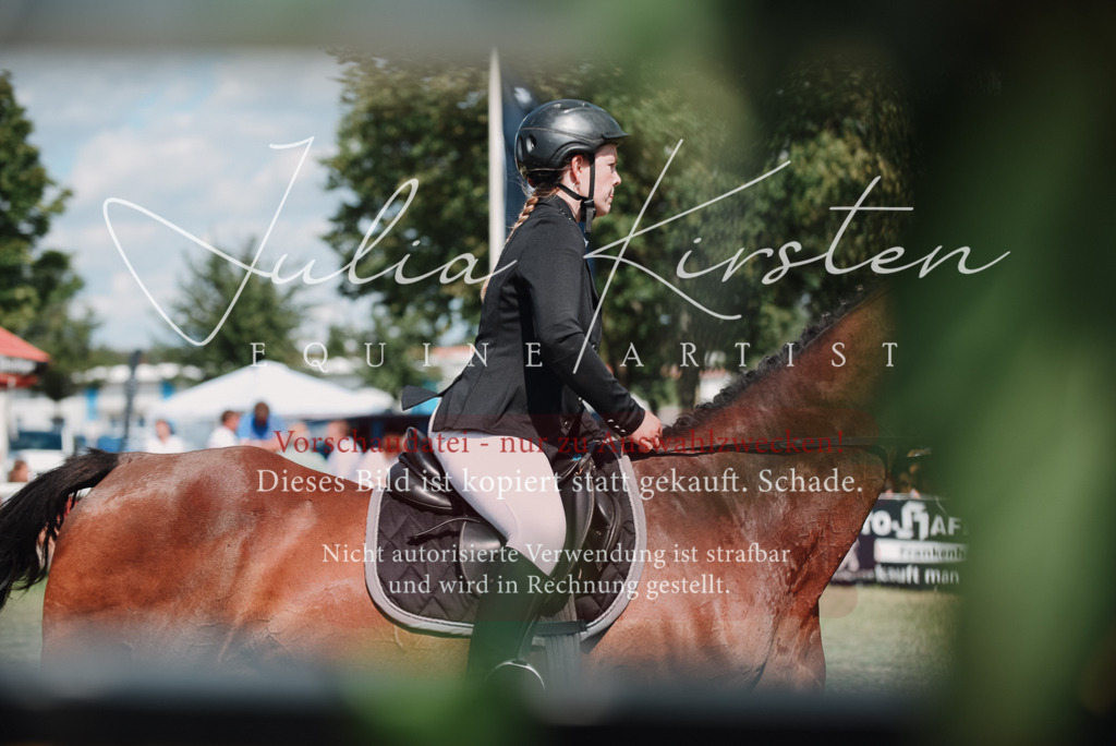 DSC_5759 | Pferde- und Turnierfotografie in Westsachsen. Pferdeportraits, Auftragszeichnungen und intuitive Kunst.
