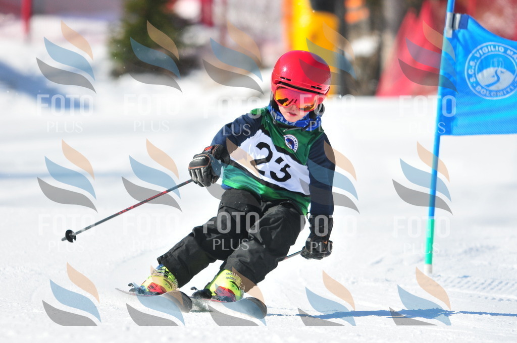 C2553 | holidayphoto