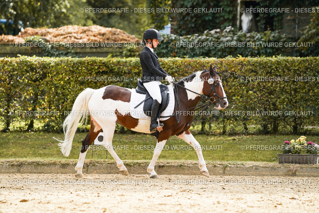 DSC01334 | Pferdegrafie