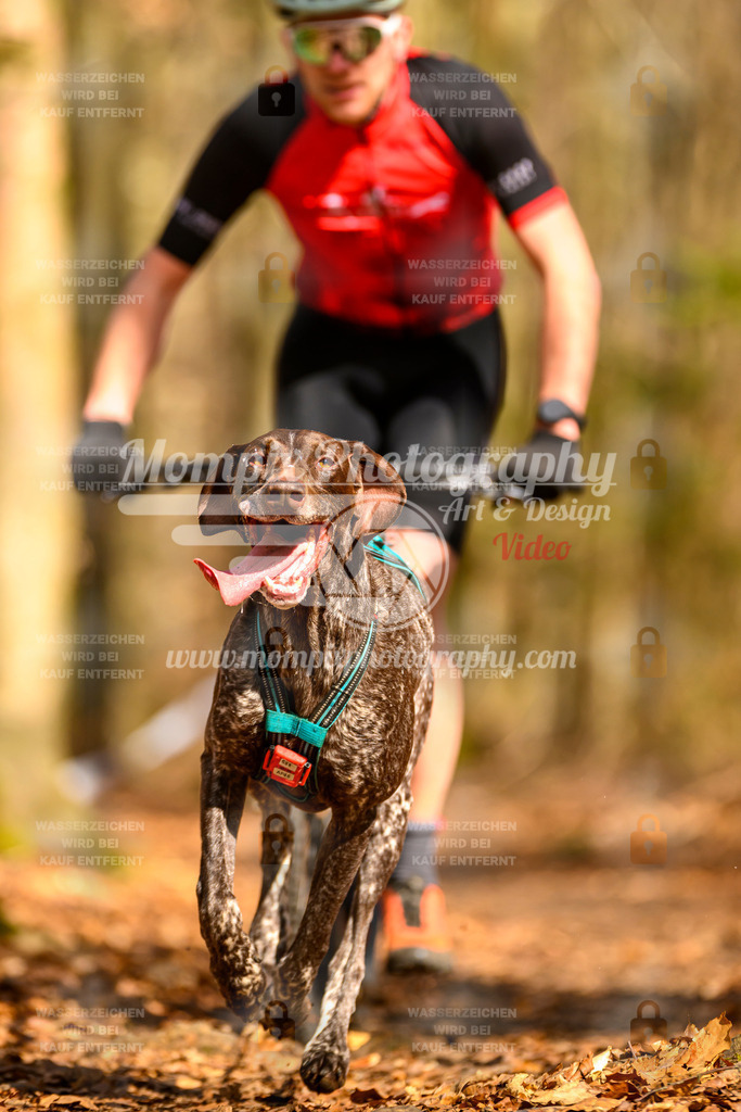 MompixPhotography_Habay2025_SA_SCO-7 | PayLife