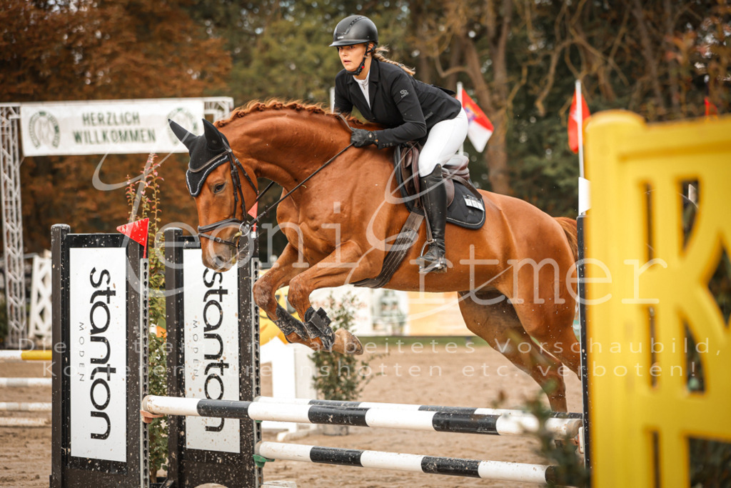 11_1.SaSpA00303 | Leoni Ertmer Photography - Realisiert mit Pictrs.com