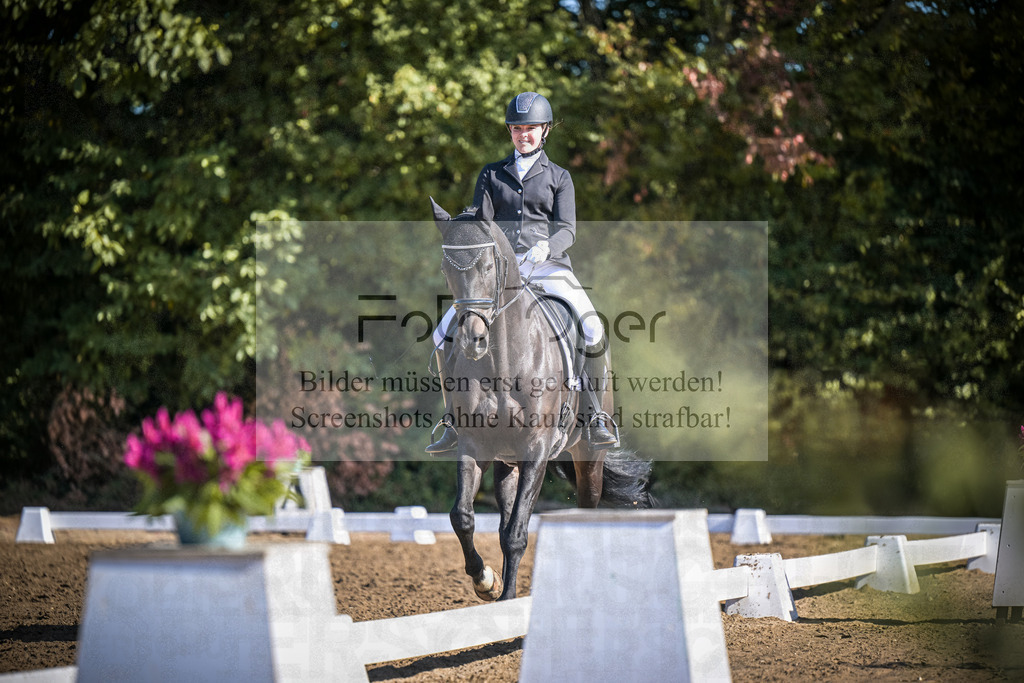 DOS_1501 | Entdecke hochwertige Reitturnierfotos von Foto Oger. Professionell, emotional und authentisch – jetzt Lieblingsmomente im Shop bestellen.Deutschlandweite Turnierfotografie. - Realisiert mit Pictrs.com