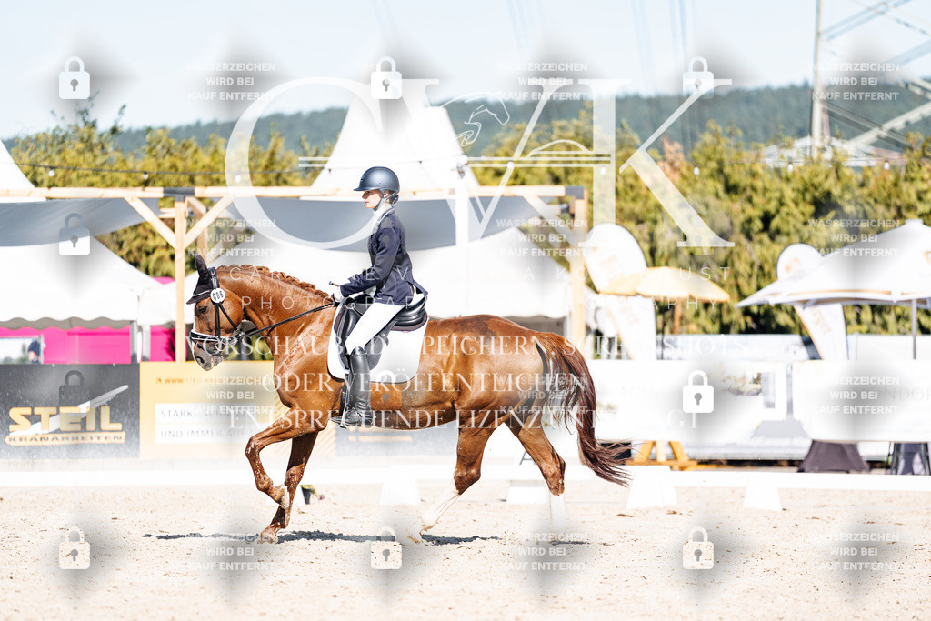 CK908438 | Turnierfotografie Pferdefotografie Trier Rheinland-Pfalz Pferdesport Reitsport Tierfotografie Sportfotografie Pferdevideo Pferdevideografie Equestrianvideography equestrianphotography  - Realisiert mit Pictrs.com