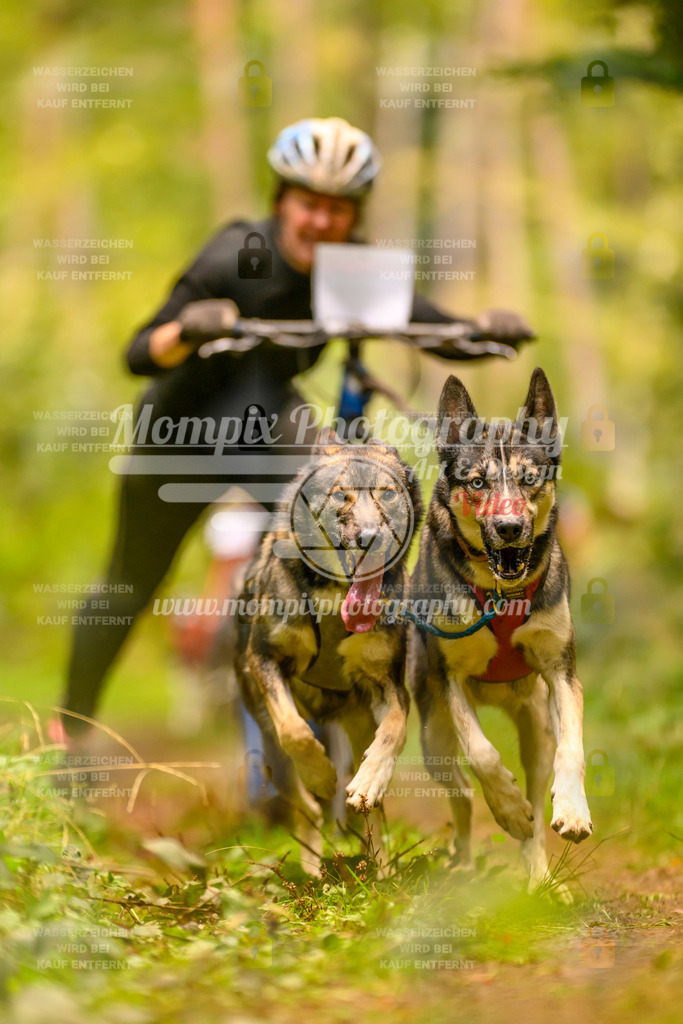 MompixPhotography_Yens2025_B2-124 | PayLife