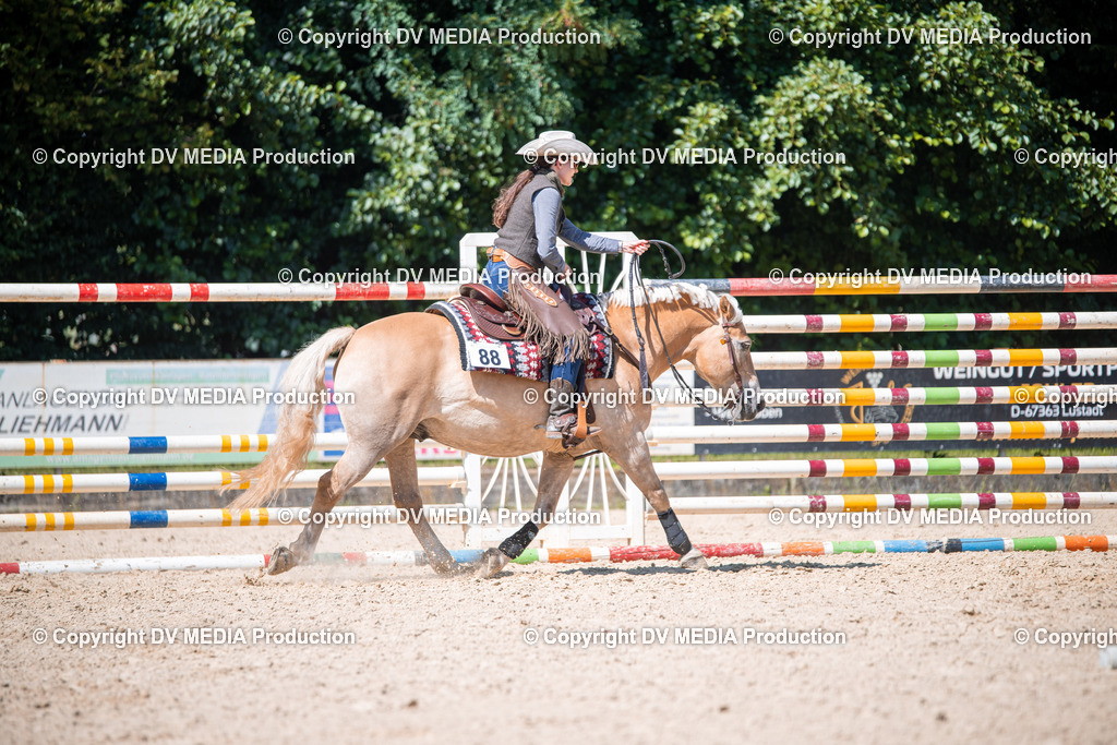 ZS1_1549 | dv-media-shop - Realisiert mit Pictrs.com