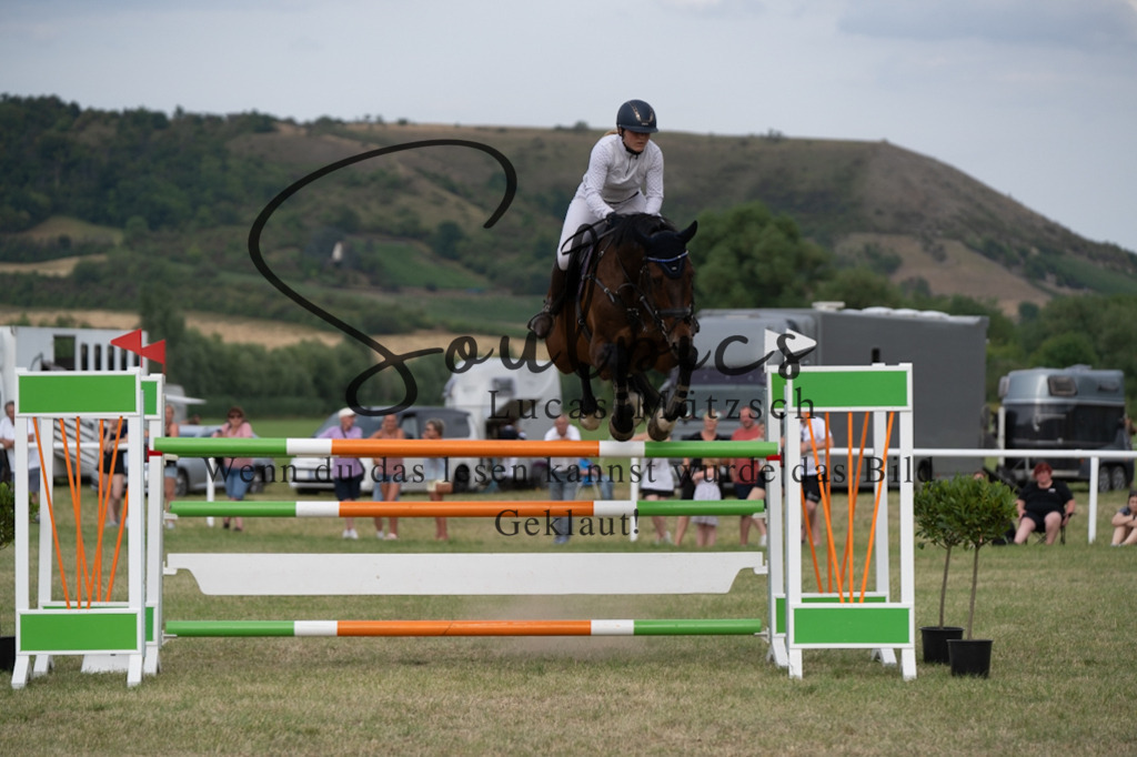 A7V02854 | Pferdefotograf