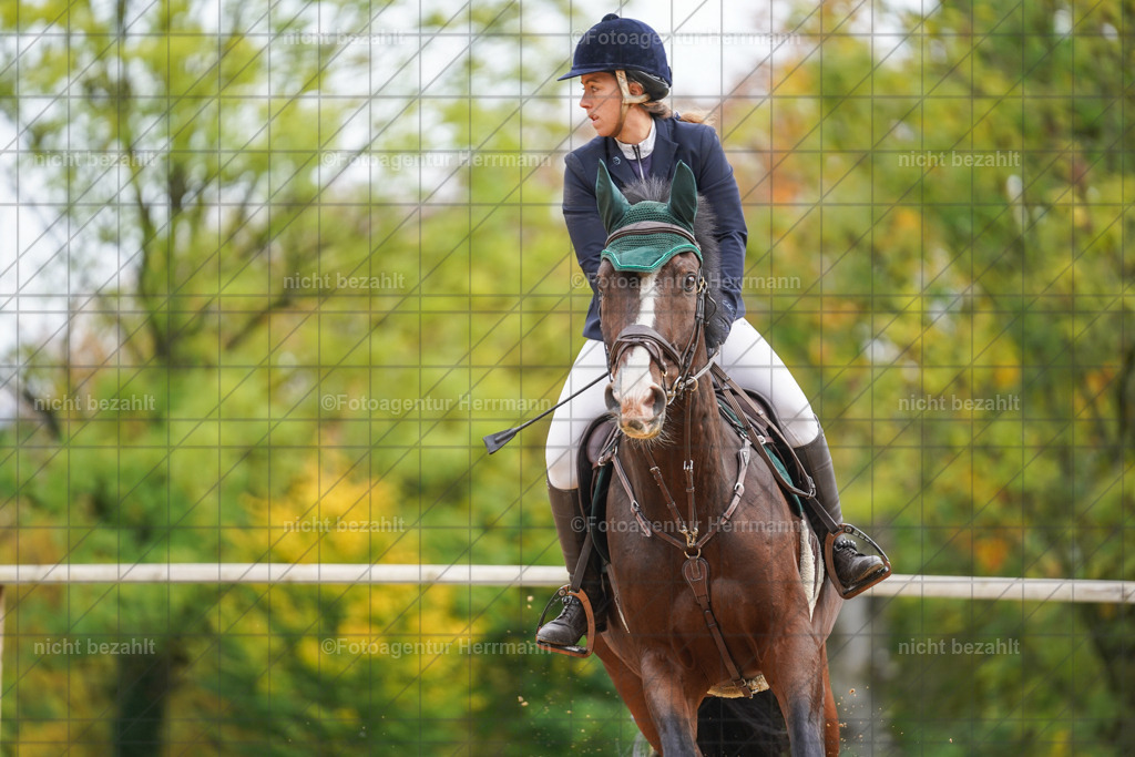20221009-FAH08694 | Diessen am Ammersee, 2022, Dressur- und Springturnier, Reitsportbilder, Turnierfotografen Bayern, Pferdefotografen, Fotoagentur Herrmann, Turnierbilder