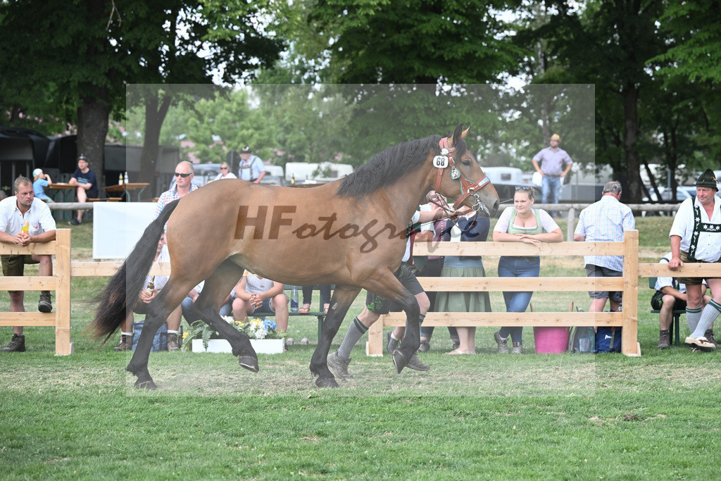 Kat-Nr. 68 Premisse_Gasteiger_20231113 | hf-fotografie - Realisiert mit Pictrs.com