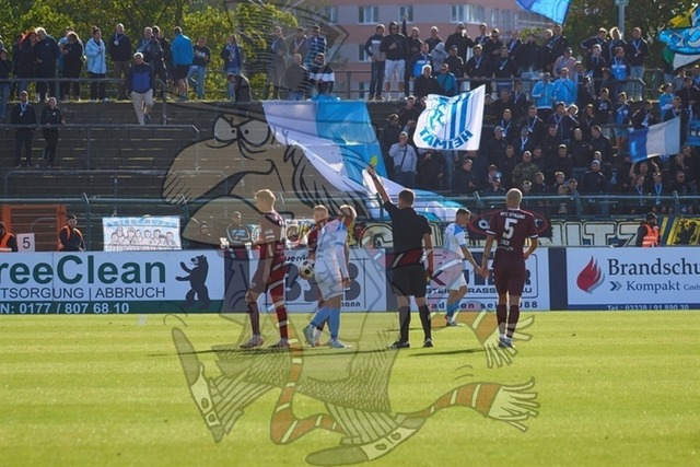 BFC Dynamo vs. Chemnitzer FC 037 | mythos-online-redaktion