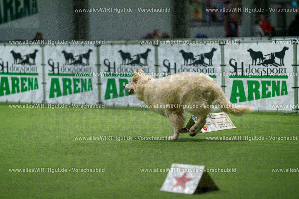 7R504176 | Professionelle Tierfotografie in Mönchengladbach von Daniel Wirth (allesWIRTHgut). Liebevolle & natürliche Bilder von Hunden & Katzen für unvergessliche Erinnerungen.