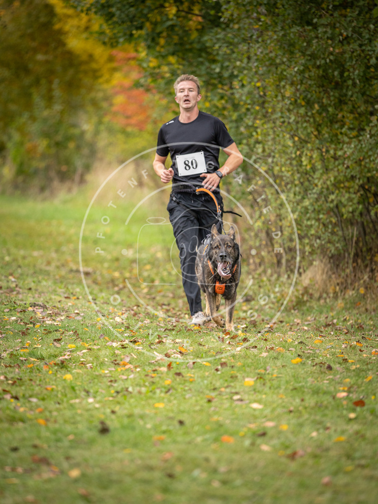 Pfotenfotografie_DV3A3016 | Hundefotografie, Tierfotograf, Pfotenfotografie, Fotoshooting Hund, Hunde Portrait, Hundesport, Hundeportraits, Heideshooting, Hunde, Sportfotograf, Hundefotograf, Turnierhundsport, THS,  - Realisiert mit Pictrs.com